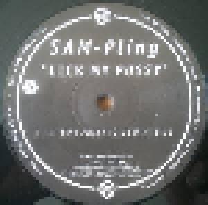 DJ Sam-Pling: Lick My Pussy - Cover