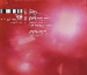 Destroyer: Destroyer's Rubies (CD) - Bild 2