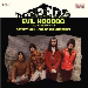 The Seeds: Evil Hoodoo - Cover