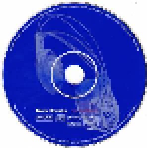 Nick Hornby - 31 Songs (CD) - Bild 3
