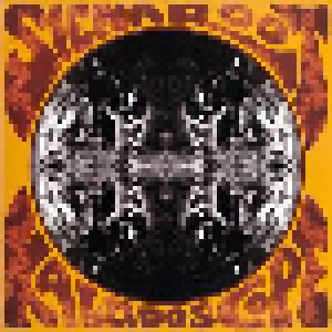 Siena Root: Kaleidoscope (LP) - Bild 1