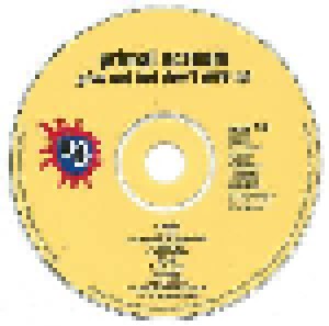Primal Scream: Give Out But Don't Give Up (CD) - Bild 3