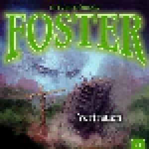 Foster: (13) Vertrauen - Cover