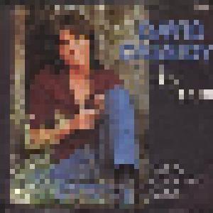 David Cassidy: Day Dream - Cover