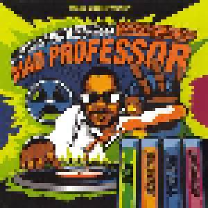 Mad Professor - Method To The Madness (Two Decades Of Crazy Dubs - A Triphop, Techno, Dubwise Vibe) - Cover