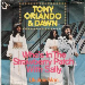 Tony Orlando & Dawn: Who´s In The Strawberry Patch With Sally - Cover