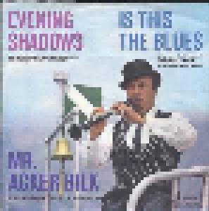 Mr. Acker Bilk & The Leon Young String Chorale: Evening Shadows - Cover