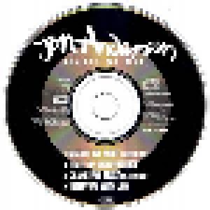 Jon Anderson: Change We Must (Single-CD) - Bild 4