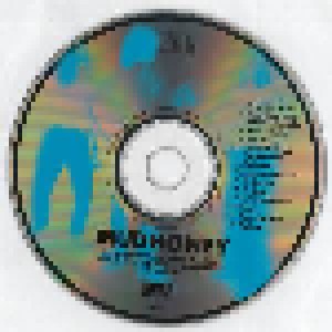 Mudhoney: Superfuzz Bigmuff Plus Early Singles (CD) - Bild 3