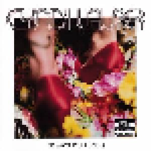 Cyndi Lauper: Bring Ya To The Brink (CD) - Bild 1