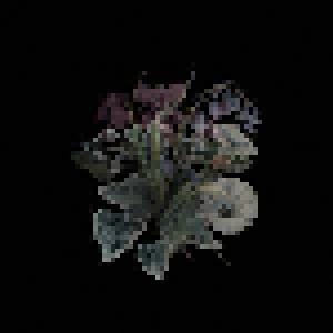 Nhor: Wildflowers - Cover