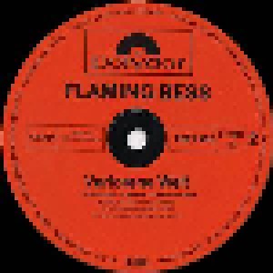 Flaming Bess: Verlorene Welt (LP) - Bild 4