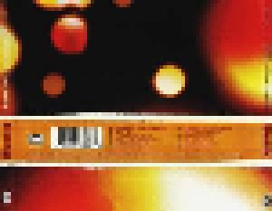 Mudhoney: Under A Billion Suns (CD) - Bild 2