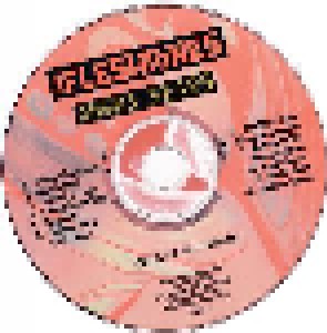 The Fleshtones: Angry Years 84-86 (CD) - Bild 2