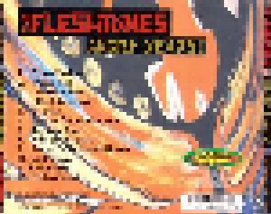 The Fleshtones: Angry Years 84-86 (CD) - Bild 4