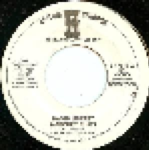 David Lindley: Mercury Blues - Cover