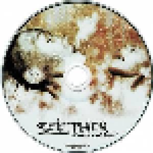 Seether: Karma And Effect (CD) - Bild 3