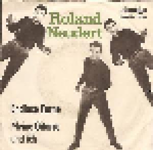 Roland Neudert: Endlose Ferne - Cover