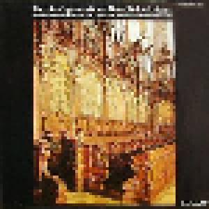 Barocke Orgelmusik Aus Benediktinerklöstern / Franz Lehrndorfer An Den Drei Orgeln Der Benediktinerabtei Ottobeuren - Cover