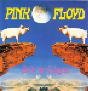 Pink Floyd: Belle De Cologne - Cover