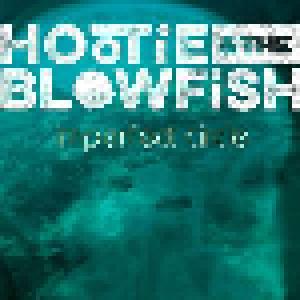 Hootie & The Blowfish: Imperfect Circle - Cover