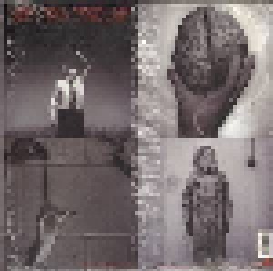 Bad Religion: Stranger Than Fiction (LP) - Bild 2