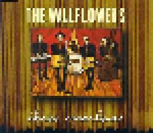 The Wallflowers: Three Marlenas - Cover
