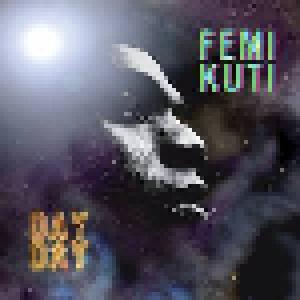 Femi Kuti: Day By Day - Cover