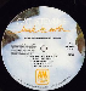 Cat Stevens: Back To Earth (LP) - Bild 3