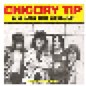 Cover - Chicory Tip: Take Your Time Caroline