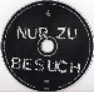 Die Toten Hosen: Nur Zu Besuch (Single-CD) - Bild 4