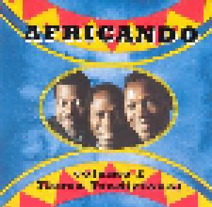 Africando: Tierra Tradicional Volume 2 - Cover