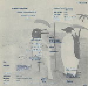 Penguin Cafe Orchestra: Music From The Penguin Cafe (LP) - Bild 2