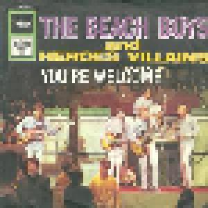 The Beach Boys: Heroes And Villians - Cover