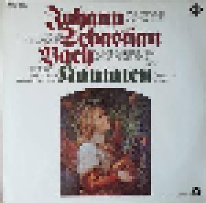 Johann Sebastian Bach: Kantaten BWV 2, 19, 20 & 24 - Cover