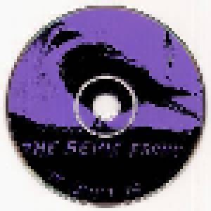 The Bevis Frond: It Just Is (CD) - Bild 4