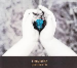 Joe Morris: Singularity - Cover