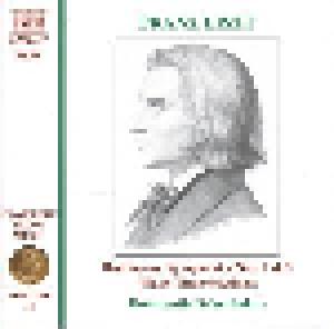 Ludwig van Beethoven / Franz Liszt: Beethoven: Symphonies Nos. 2 & 5 (Piano Transcriptions) - Cover