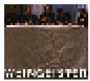 Einstürzende Neubauten: Musterhaus 8 - Weingeister (CD) - Bild 1
