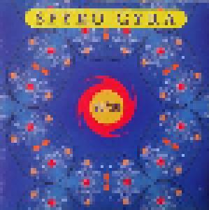 Spyro Gyra: 20/20 - Cover