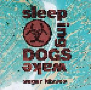 Sleeping Dogs Wake: Sugar Kisses - Cover