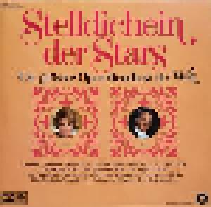 Stelldichein Der Stars - Die Grösste Operettenshow Der Welt - Cover