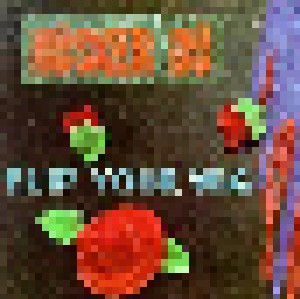 Hüsker Dü: Flip Your Wig (CD) - Bild 1
