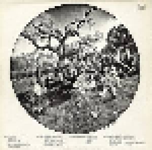 Grateful Dead: Aoxomoxoa (LP) - Bild 2