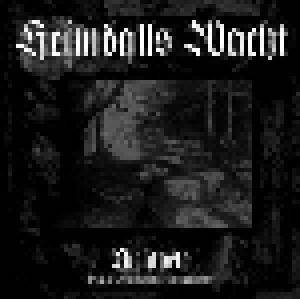 Heimdalls Wacht: Nichtorte - Oder Die Geistreise Des Runenschamanen - Cover