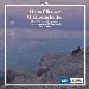 Hans Pfitzner: Orchesterlieder - Cover