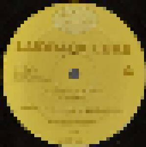 Laidback Luke: Concrete On Vinyl - Cover