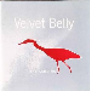 Velvet Belly: Landing, The - Cover