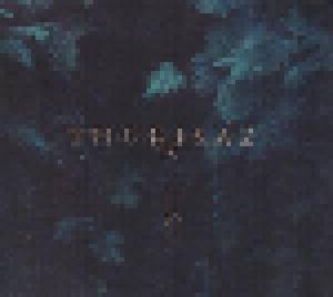 Thurisaz: Re-Incentive - Cover