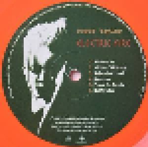 Roger Taylor: Electric Fire (LP) - Bild 4